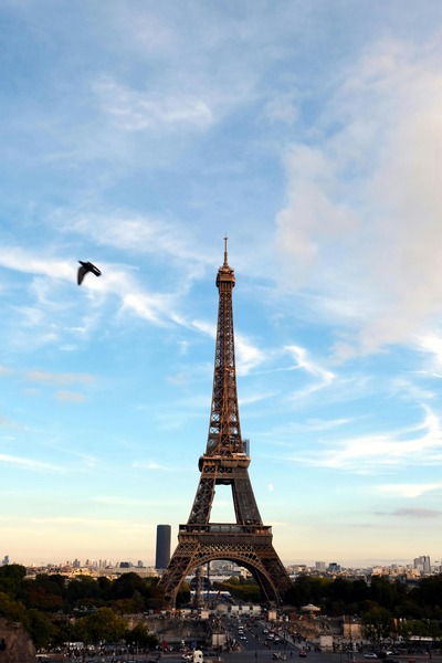 Eiffel Tower 1 Téléchargement Numérique