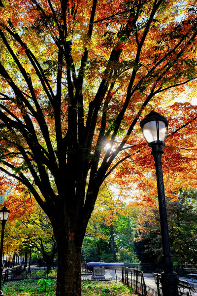 A Stroll in Color Digital Download