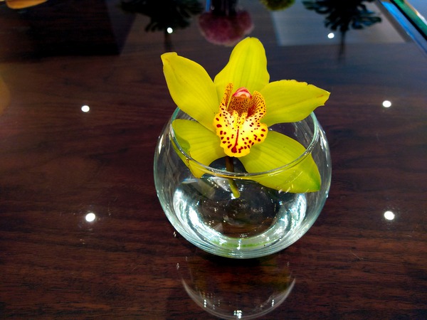 Glass Bloom 2B Digital Download