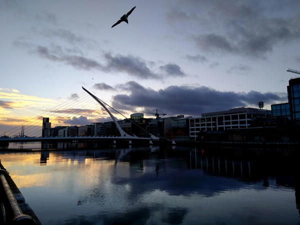 Soaring into the Sunrise Digital Download