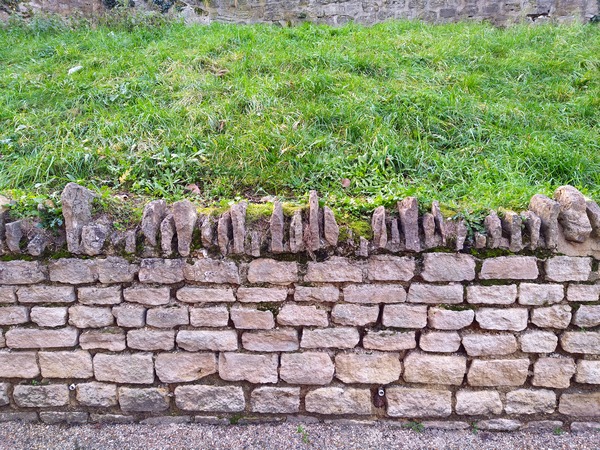 Barbed Stone Wall Digital Download