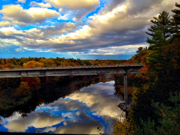 MI Reflections Digital Download