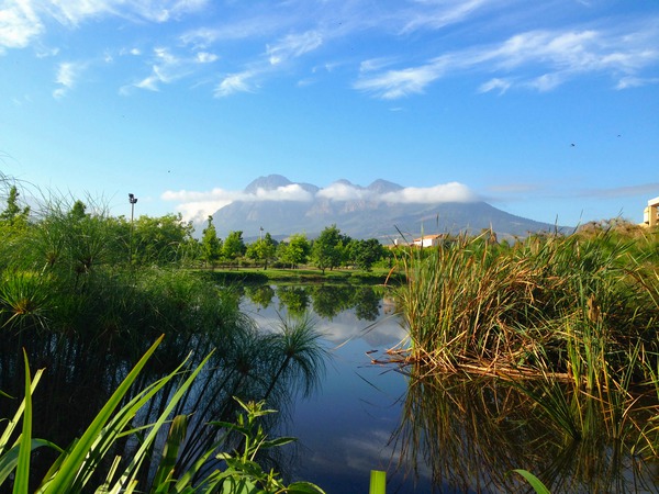 Out of Africa 2 Digital Download