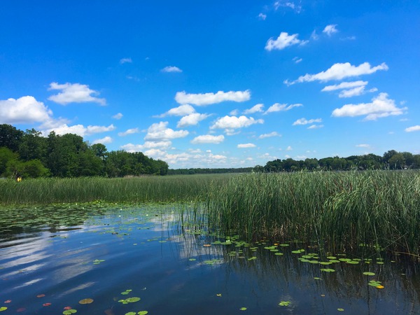 Blue By You Digital Download