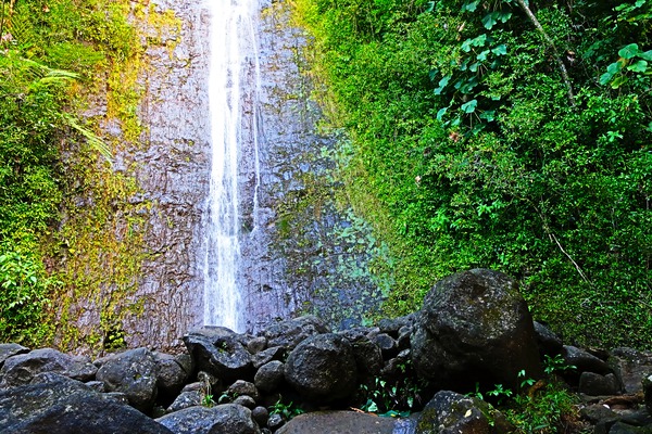 Falling for Colors Téléchargement Numérique