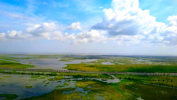 New Orleans from the Sky Digital Download