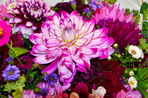 Flower Bloom 3 Téléchargement Numérique