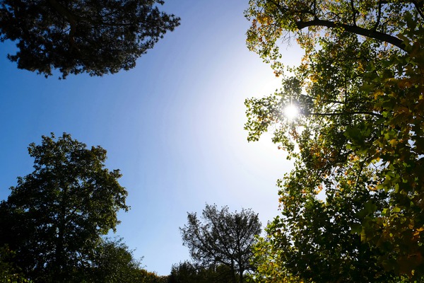 Seeing the Light Digital Download