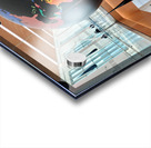 Hemispheres in Flight at  La Guardia Airport Acrylic print