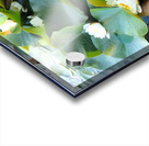 Nature’s Quiet Triumph Acrylic print