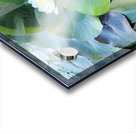 The Secret Life of Lilies Acrylic print