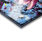 A Magnolia Moment in the Middle of Everything Acrylic print