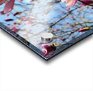 Spring Sun Worshipping Magnolia Impression Acrylique