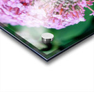 Bee Still on Butterfly Bush Impression Acrylique