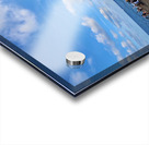 The Soft Chaos of Summer Acrylic print