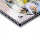 Silent Brine: The Oyster Sonata Acrylic print