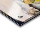 Shellshed Ritual Acrylic print