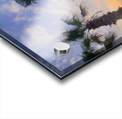 Tropic Stillness Above the Noise Acrylic print