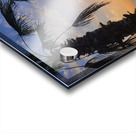 Between Palms and Possibility Acrylic print