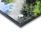 The Pause in the Path Acrylic print