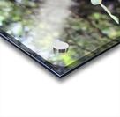 Nature’s Little Lanterns: A Hidden Symphony of Light and Green Impression Acrylique