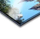 Gothic Roots Olive Crowns: The Cathedral at an Angle of Awe Impression Acrylique