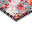 Colorful Fallen Beauties Acrylic print