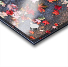 Grounded in Colors: Scattered Beauty Acrylic print