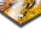 Golden Hour Tree Time 1A  Acrylic print