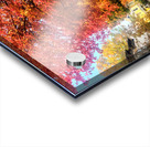 Fall Over the Fence  Acrylic print