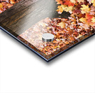 Leaves Me Stumped 1A Acrylic print