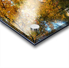 Fall Over the Road Acrylic print