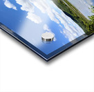 Into the Wild Blue Acrylic print