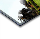 Civic Eden: The Park Awakens Acrylic print