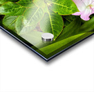 Twin Beauty & Symmetry Impression Acrylique