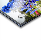 Larkspur: Midnight Choir of the Garden Realm Acrylic print