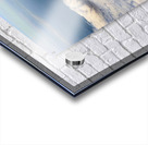 Above the Fog Line: San Francisco in Glide Acrylic print