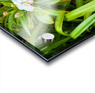 Green Rhythm Pink Pause Impression Acrylique