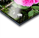 Wild Grace: The Rugosa Bloom Impression Acrylique