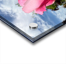 Unspoken Flame of the Garden’s Soul Acrylic print