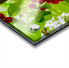 The Patience of Fruit: A Quiet Celebration Impression Acrylique