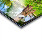 The Lone Umbrella of Morning Light Acrylic print