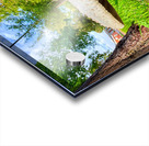 The Lowland Throne Acrylic print