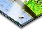 Under the Cap: A Fungal World Revealed Impression Acrylique