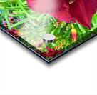 Garden Spotlight Acrylic print