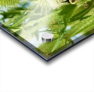 Wings and Spikes Impression Acrylique