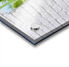 The Reach of Teasel Acrylic print