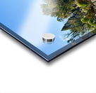 IMG 0093 Acrylic print