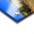 IMG 9695 Acrylic print