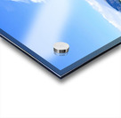 IMG 0160 Acrylic print